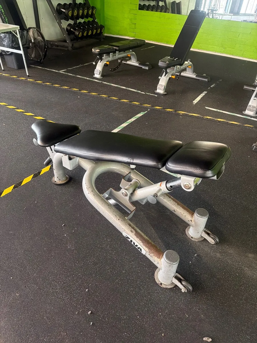 Ziva commercial incline bench - Image 2