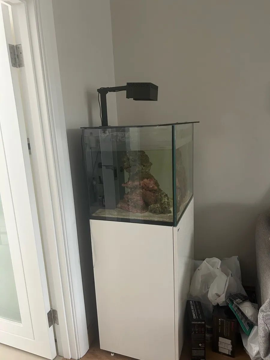 Red Sea fish tank 750 liters - Image 2