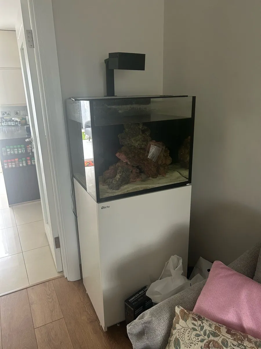 Red Sea fish tank 750 liters - Image 3