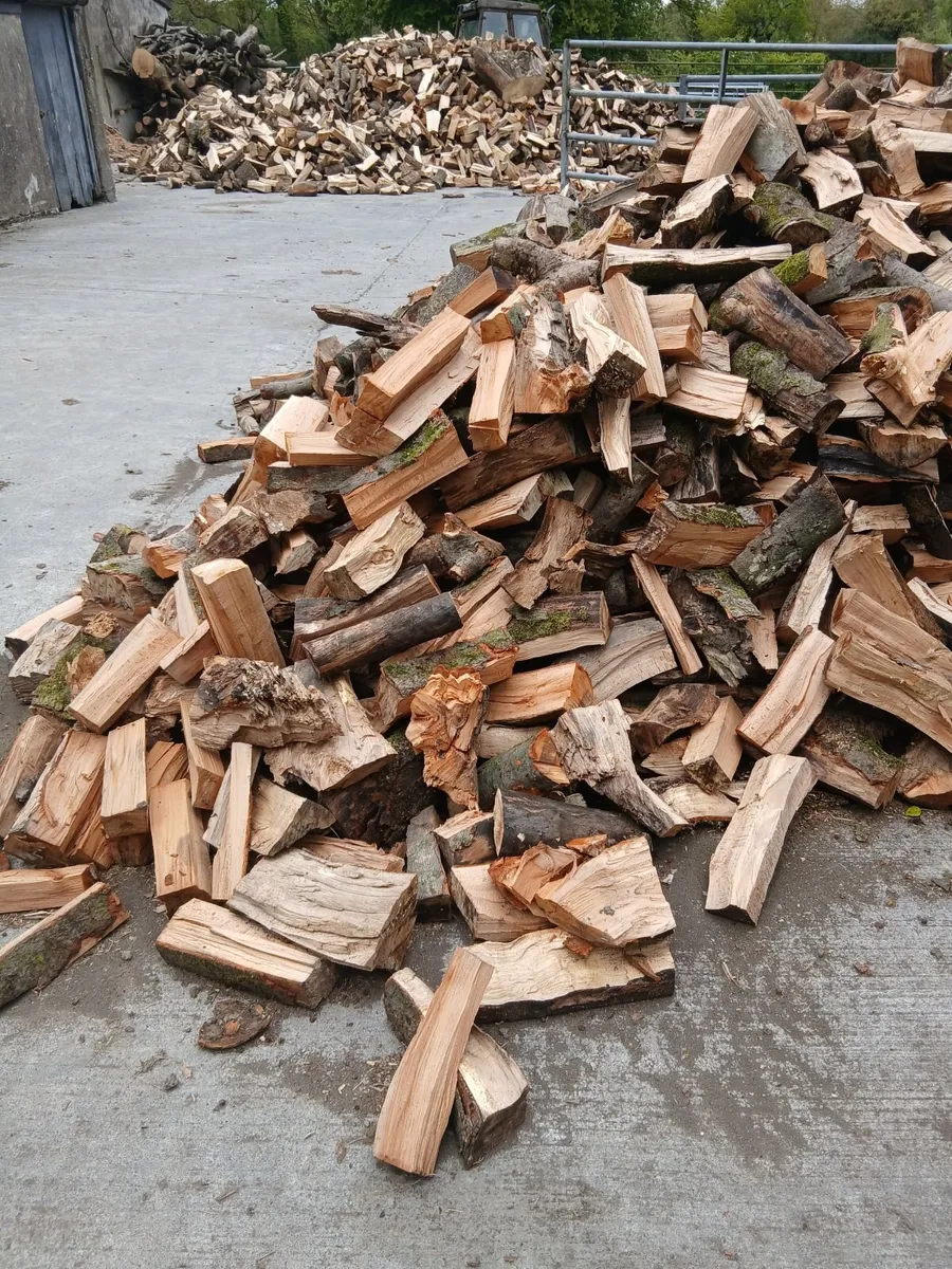 Firewood - Image 2