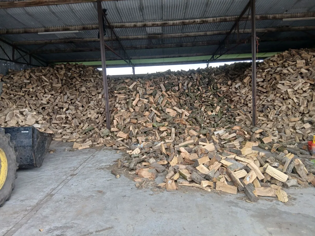 Firewood - Image 3