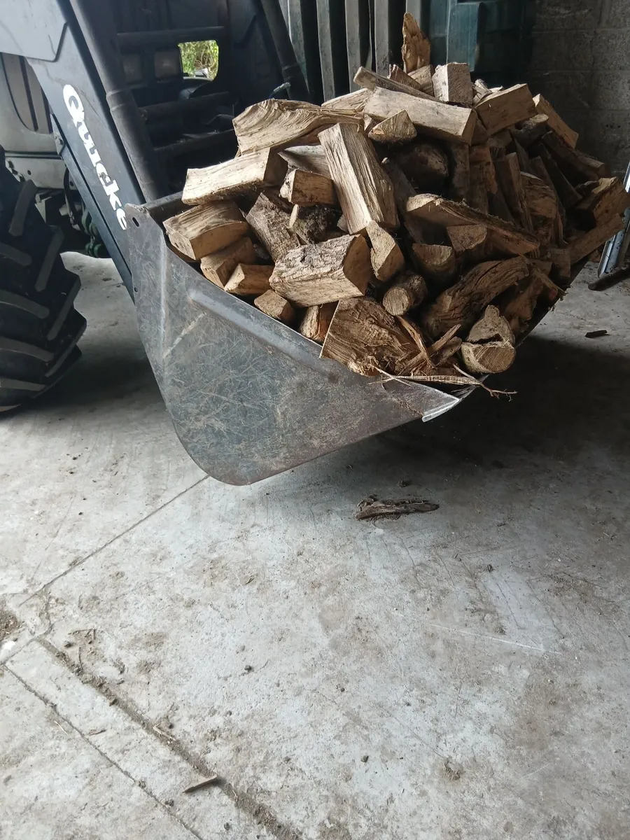 Firewood - Image 1