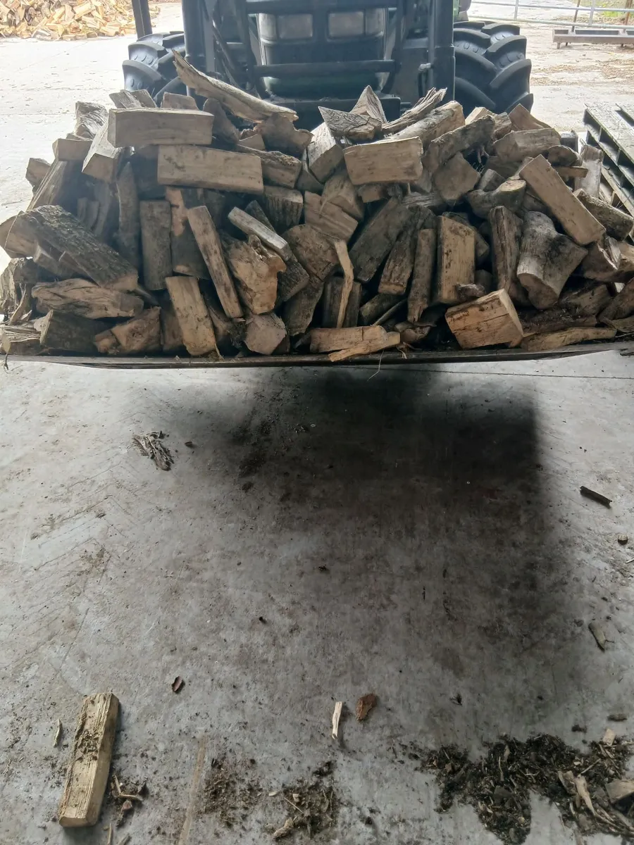 Firewood - Image 4
