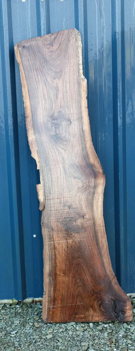 Century Old Turkish Olive Wood & Black Walnut slab - Image 4
