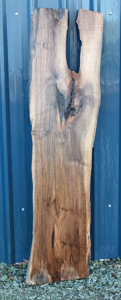 Century Old Turkish Olive Wood & Black Walnut slab - Image 3