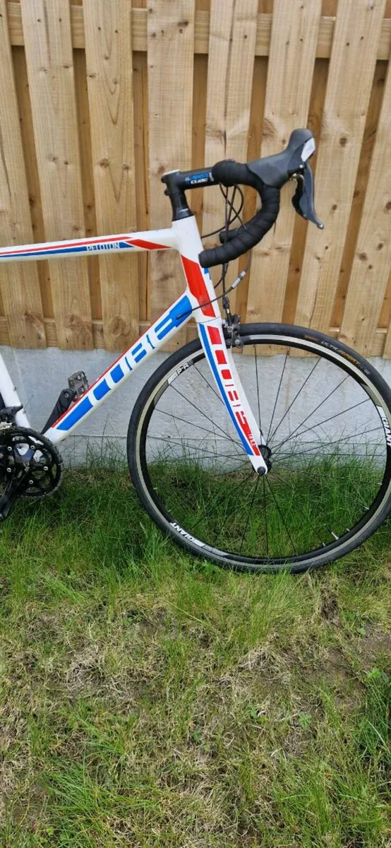 Cube Peloton race ( serviced )( delivery ) - Image 2