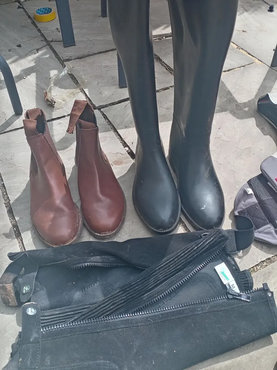 Saddle and riding gear - Image 4