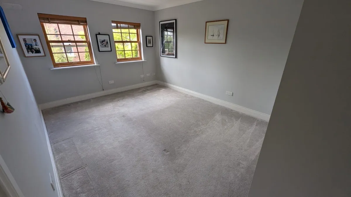 Carpet - Image 2