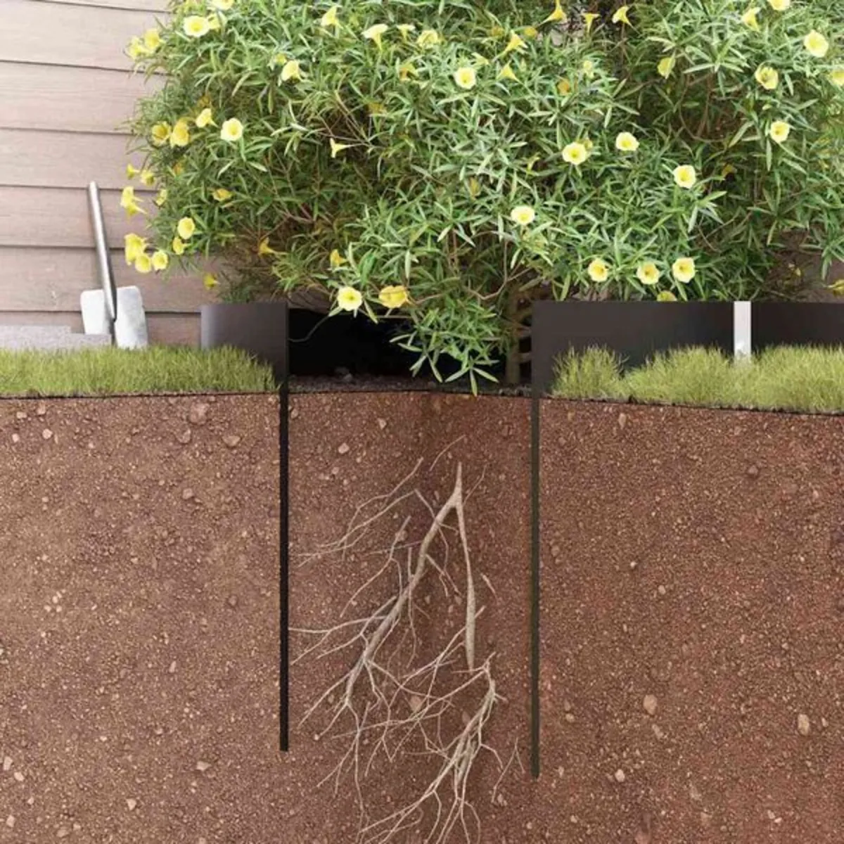 Bamboo root barrier /invasive root barrier - Image 1