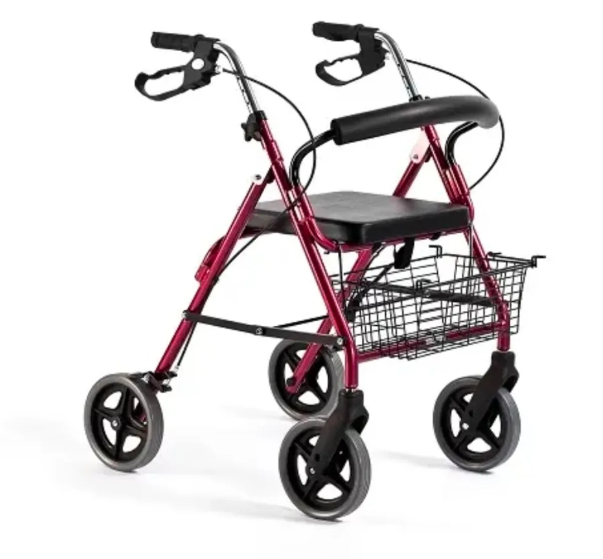 Wagner Rollator - Image 1