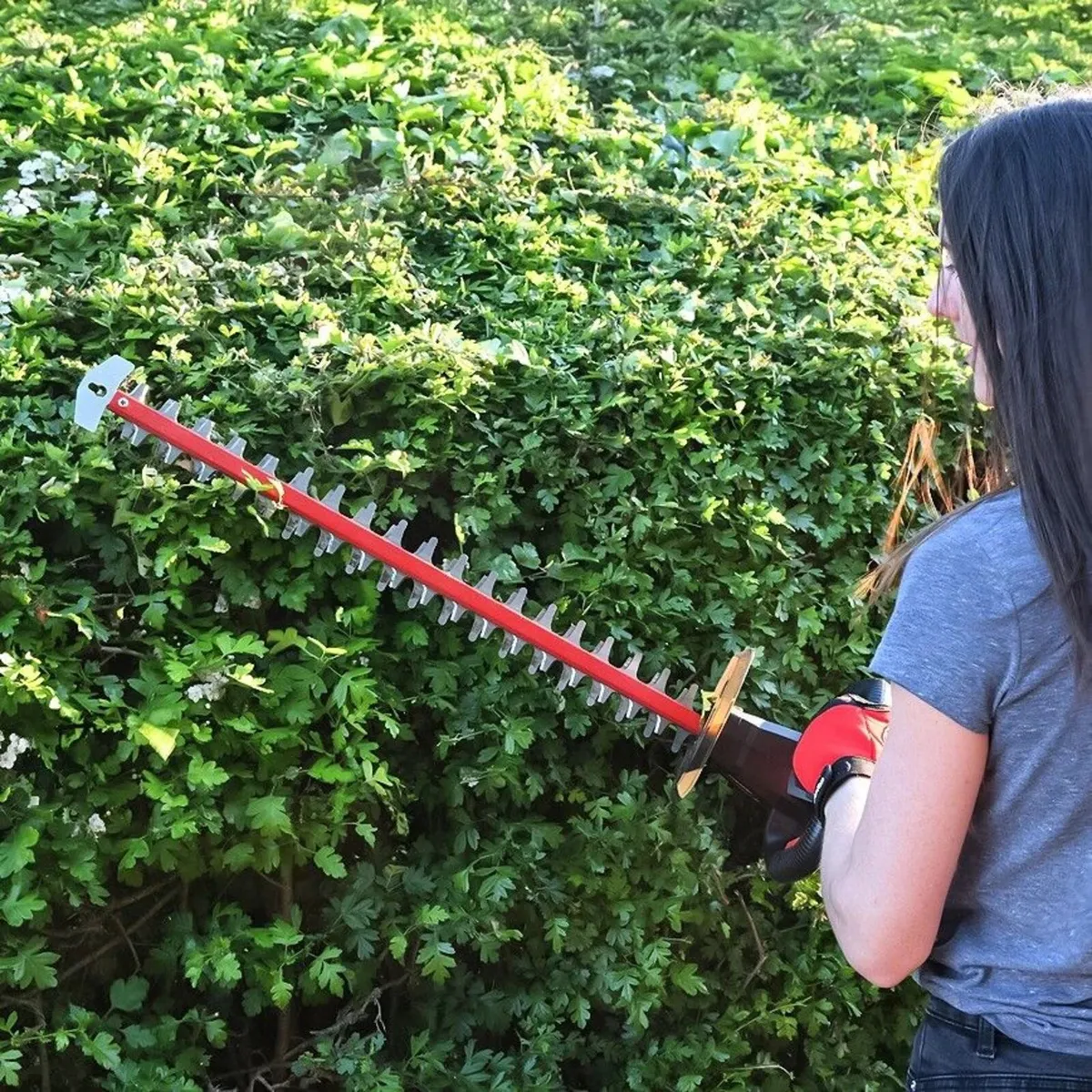 Cobra HT55040VX Cordless Hedgetrimmer - Image 1