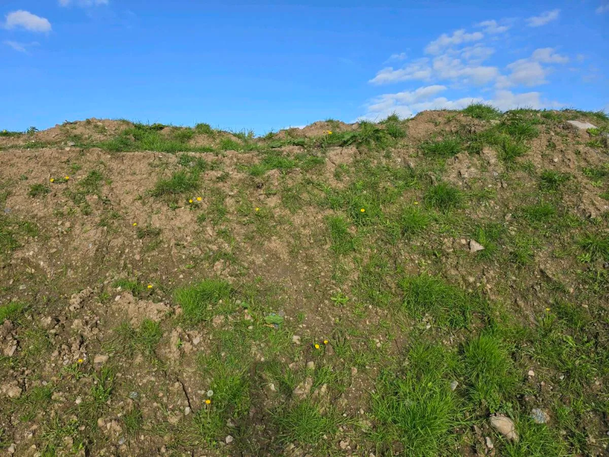 Sub Soil and Top Soil - Image 2