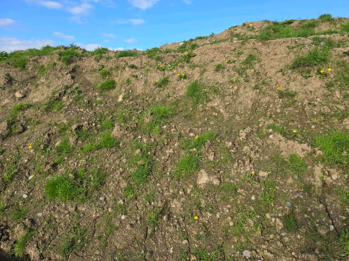 Sub Soil and Top Soil - Image 3