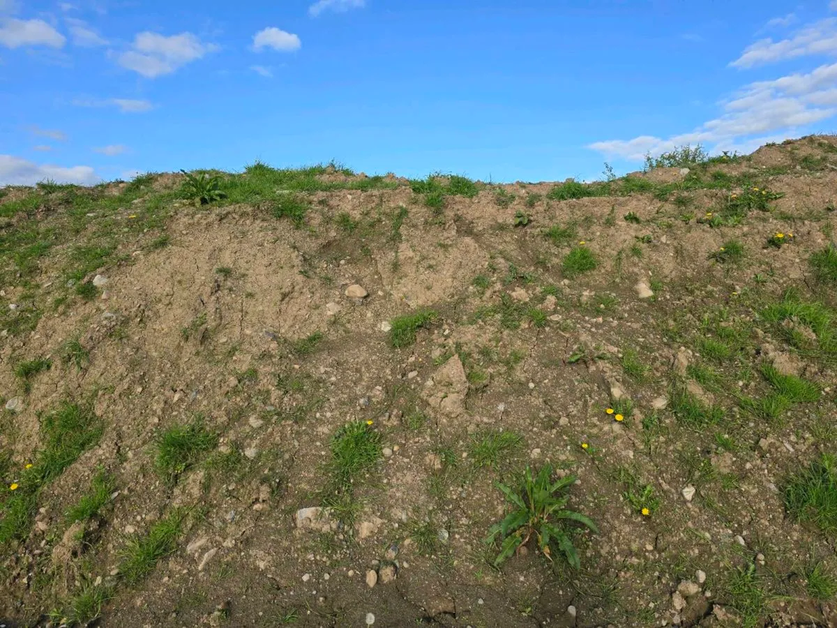 Sub Soil and Top Soil - Image 4