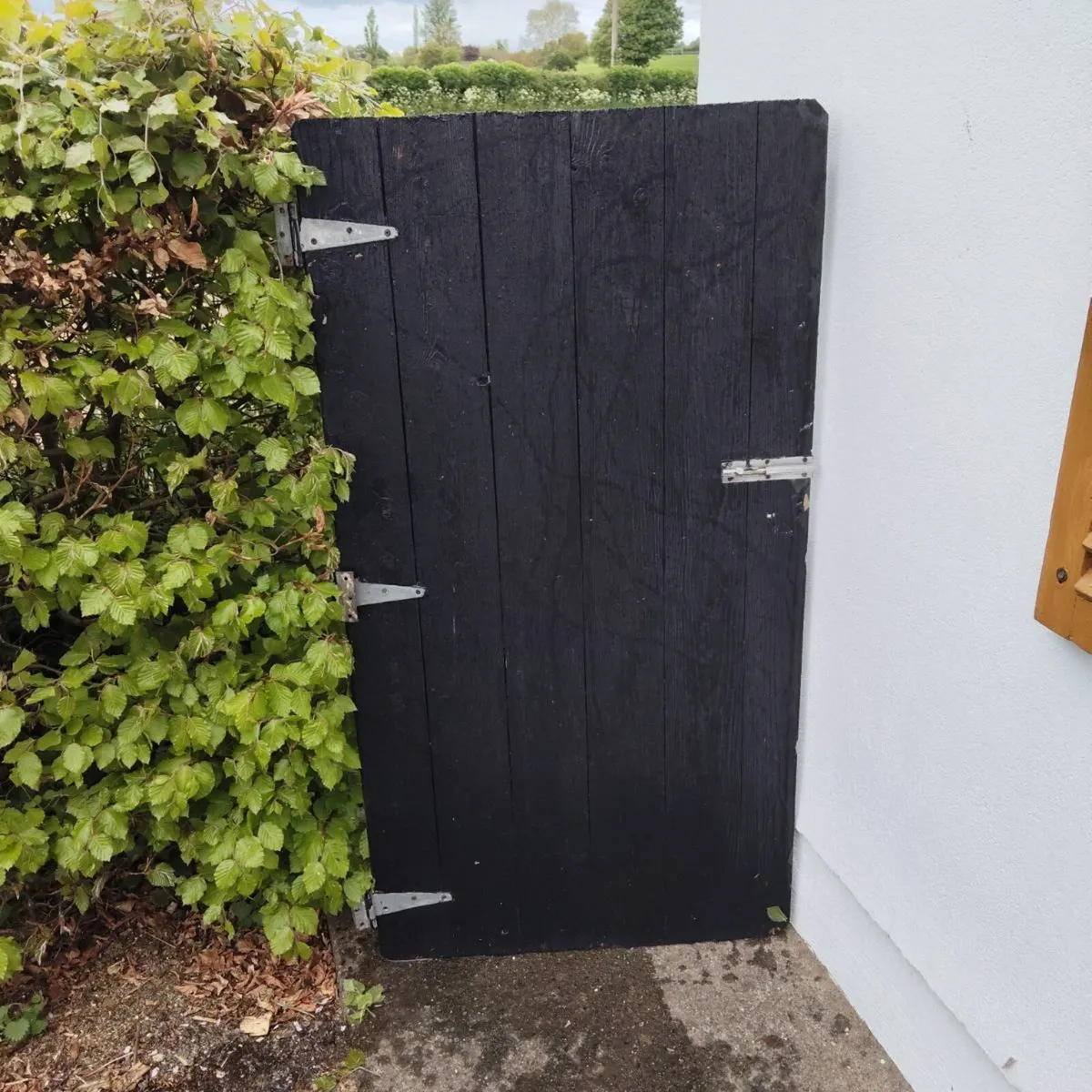 SHED DOOR - Image 1