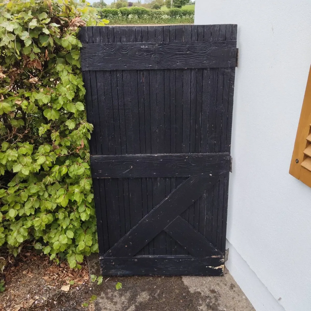 SHED DOOR - Image 2