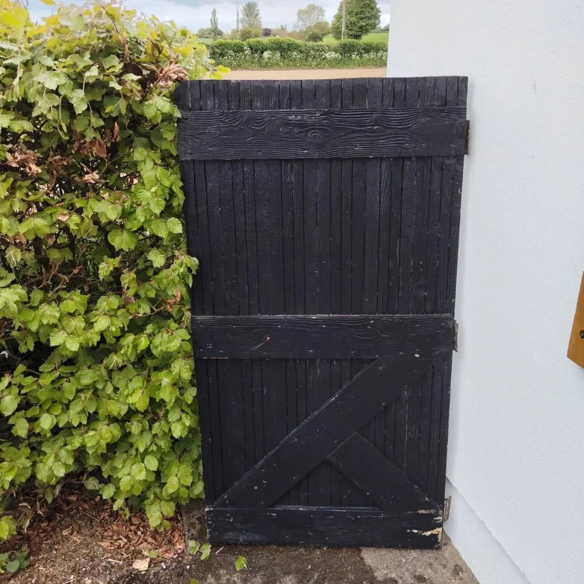 SHED DOOR - Image 3