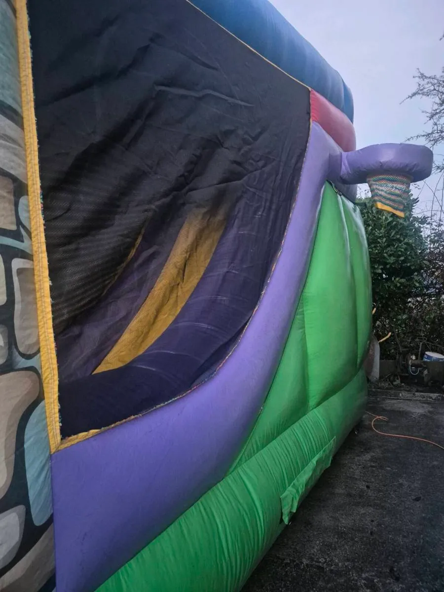 Bouncy castle - Image 1