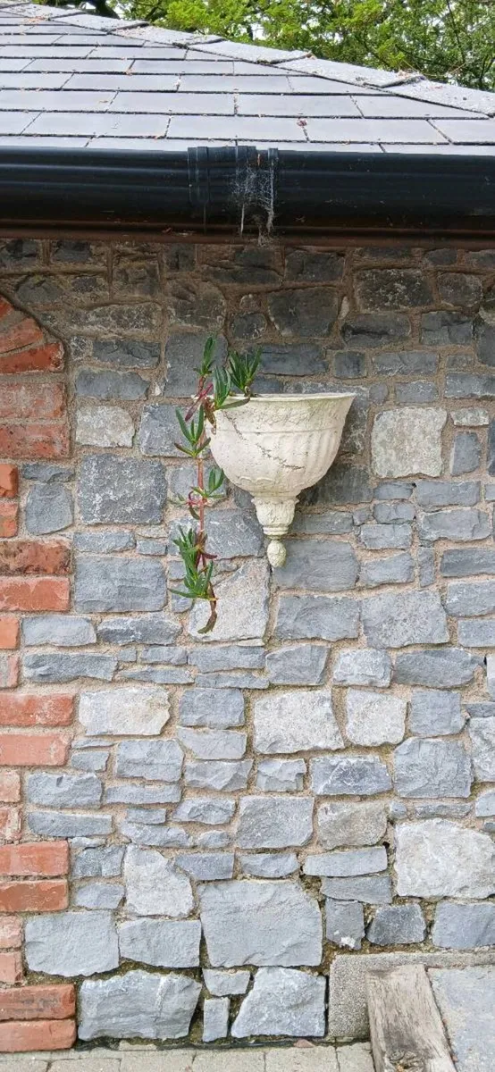 Ornate wall planter - Image 1