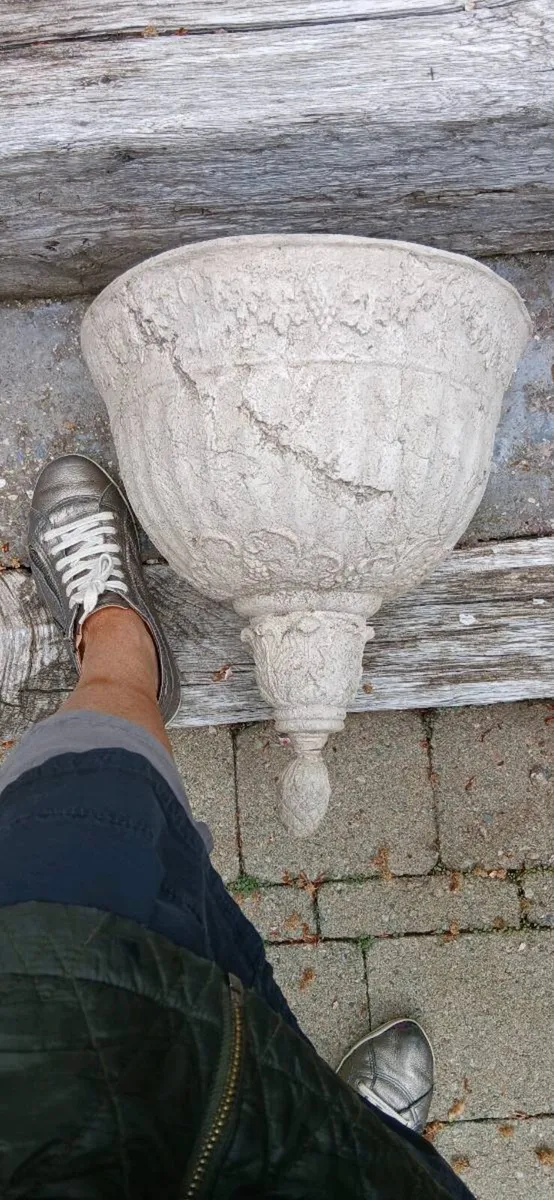 Ornate wall planter - Image 4