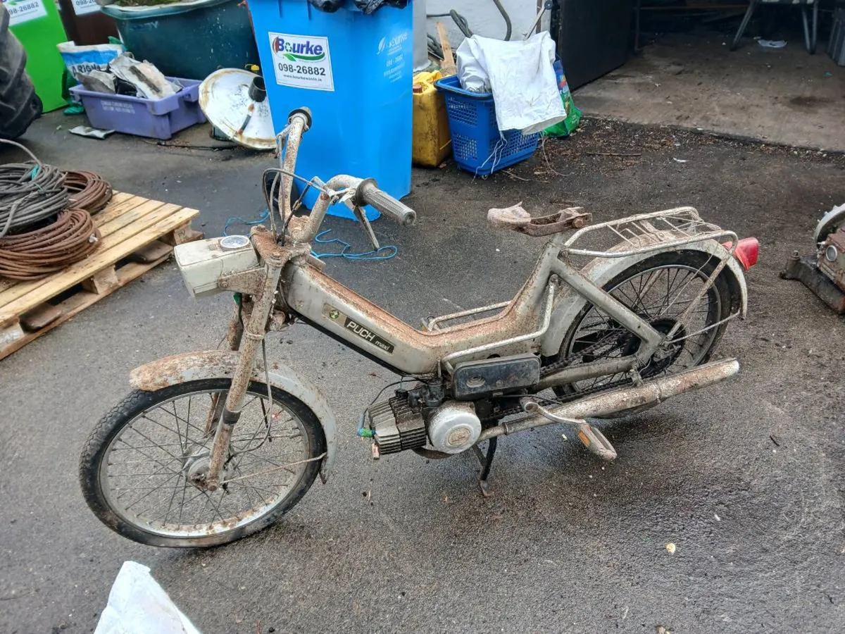 Puch maxi moped - Image 1