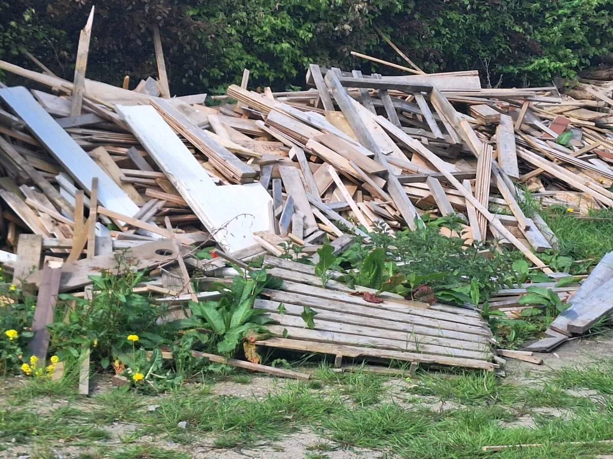 Timber off cuts for sale - Image 2