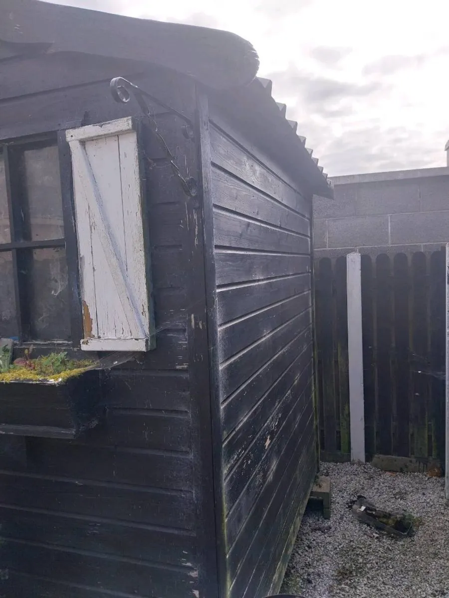 Pressure treated 6x8 Cabin Garden shed - Image 2