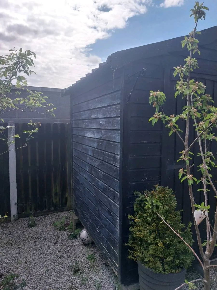 Pressure treated 6x8 Cabin Garden shed - Image 3