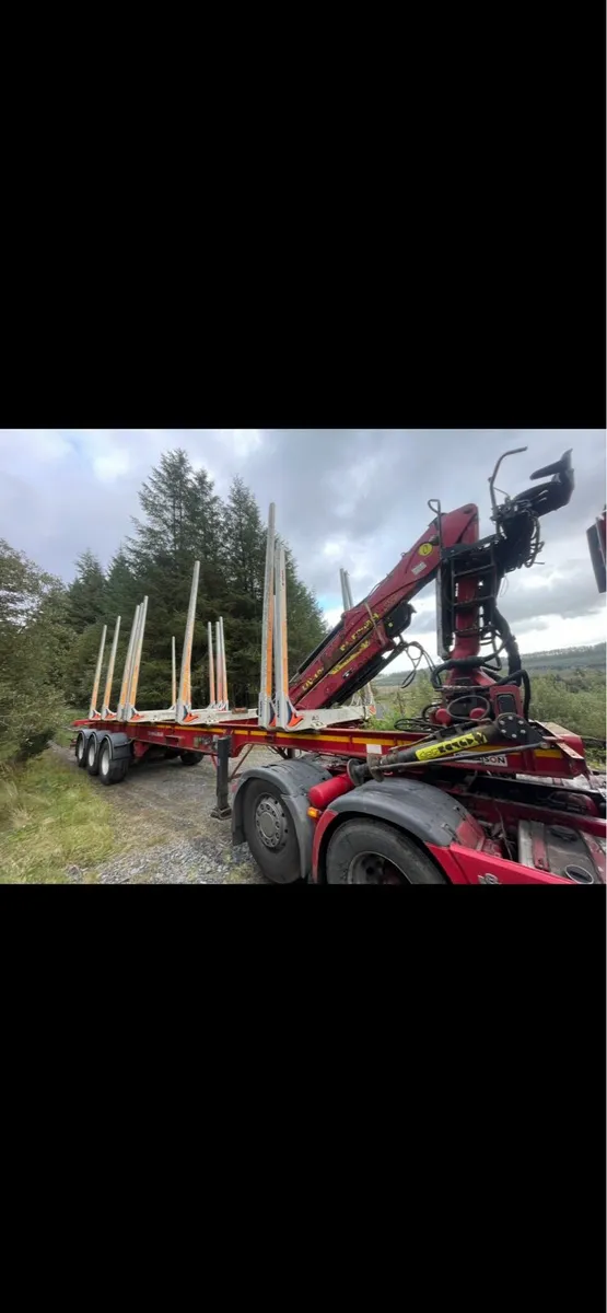 Dennison timber trailer - Image 2
