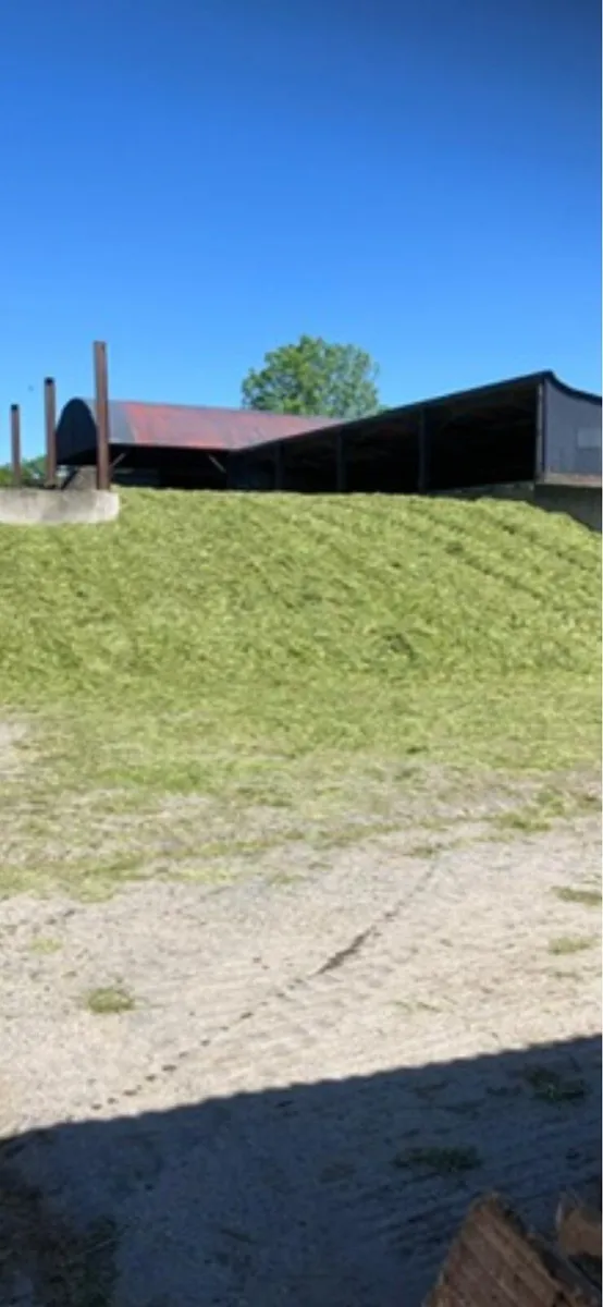 Wagon silage - Image 2