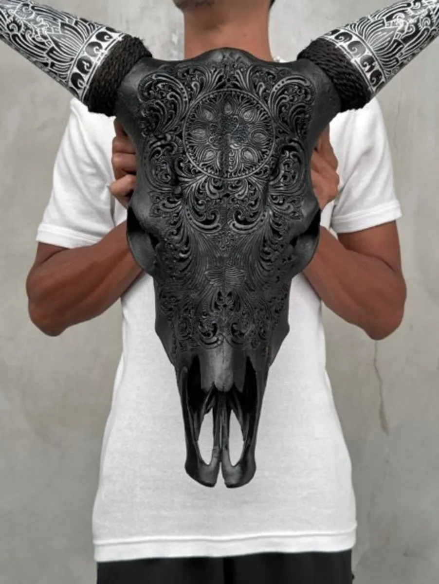 Wall Art - Authentic Black Carved Cow Skull - Image 2