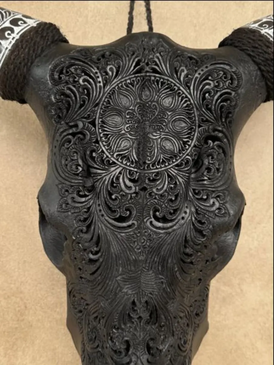 Wall Art - Authentic Black Carved Cow Skull - Image 3