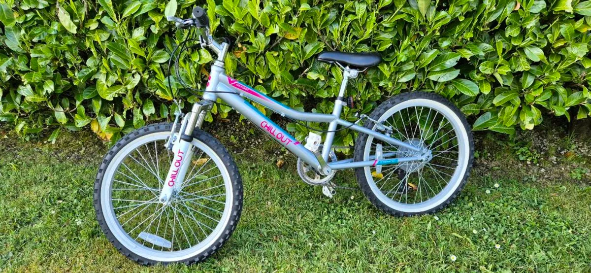 20" Mountain Bike - Image 1