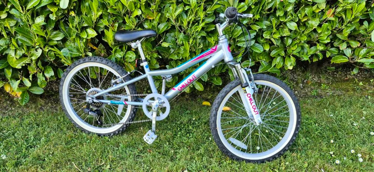 20" Mountain Bike - Image 2