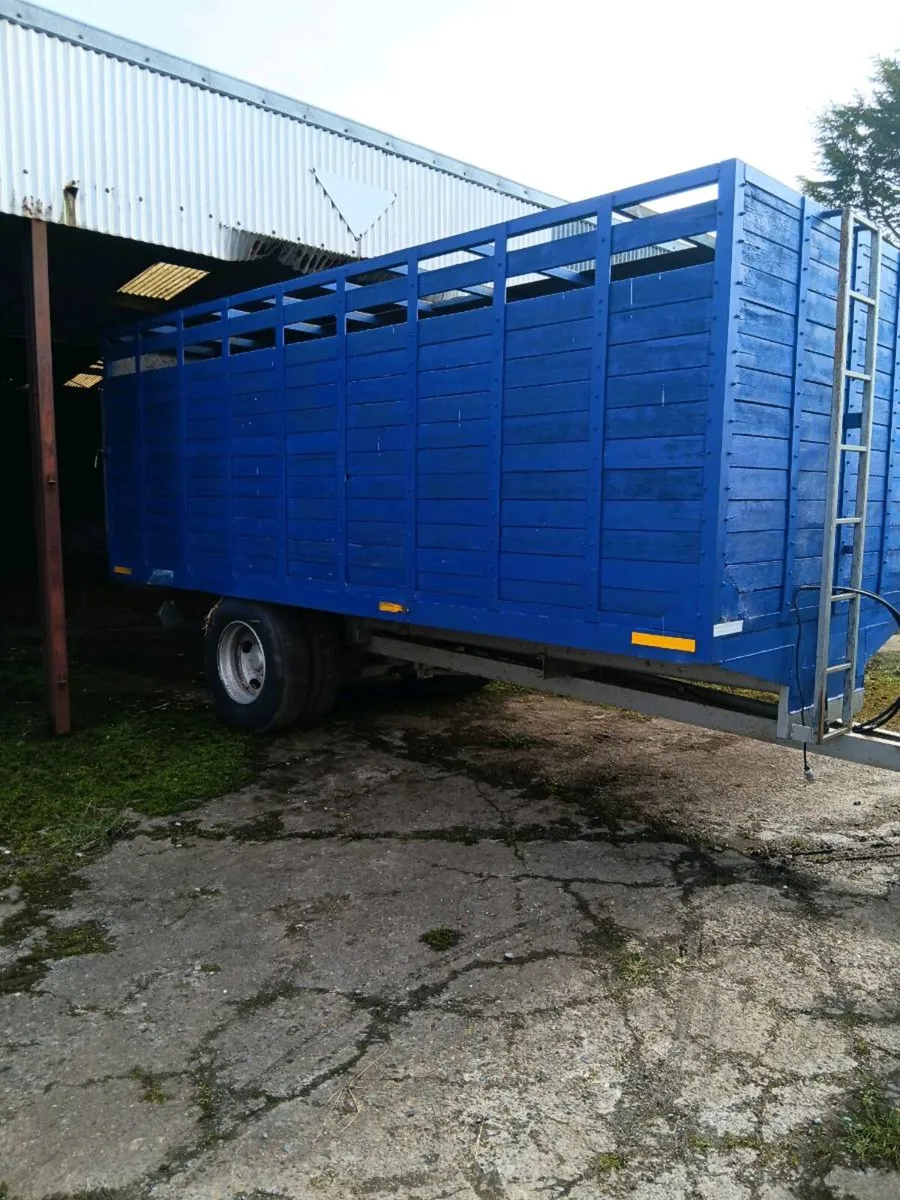 20 x 8 cattle trailer - Image 1