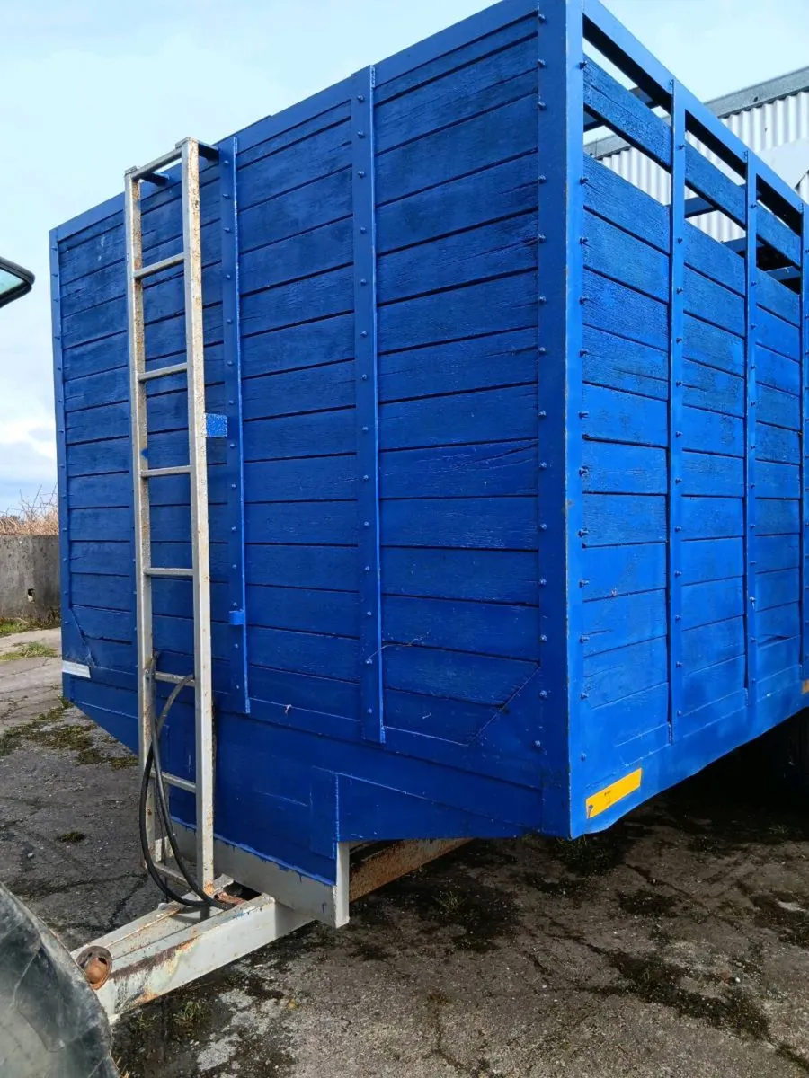 20 x 8 cattle trailer - Image 2