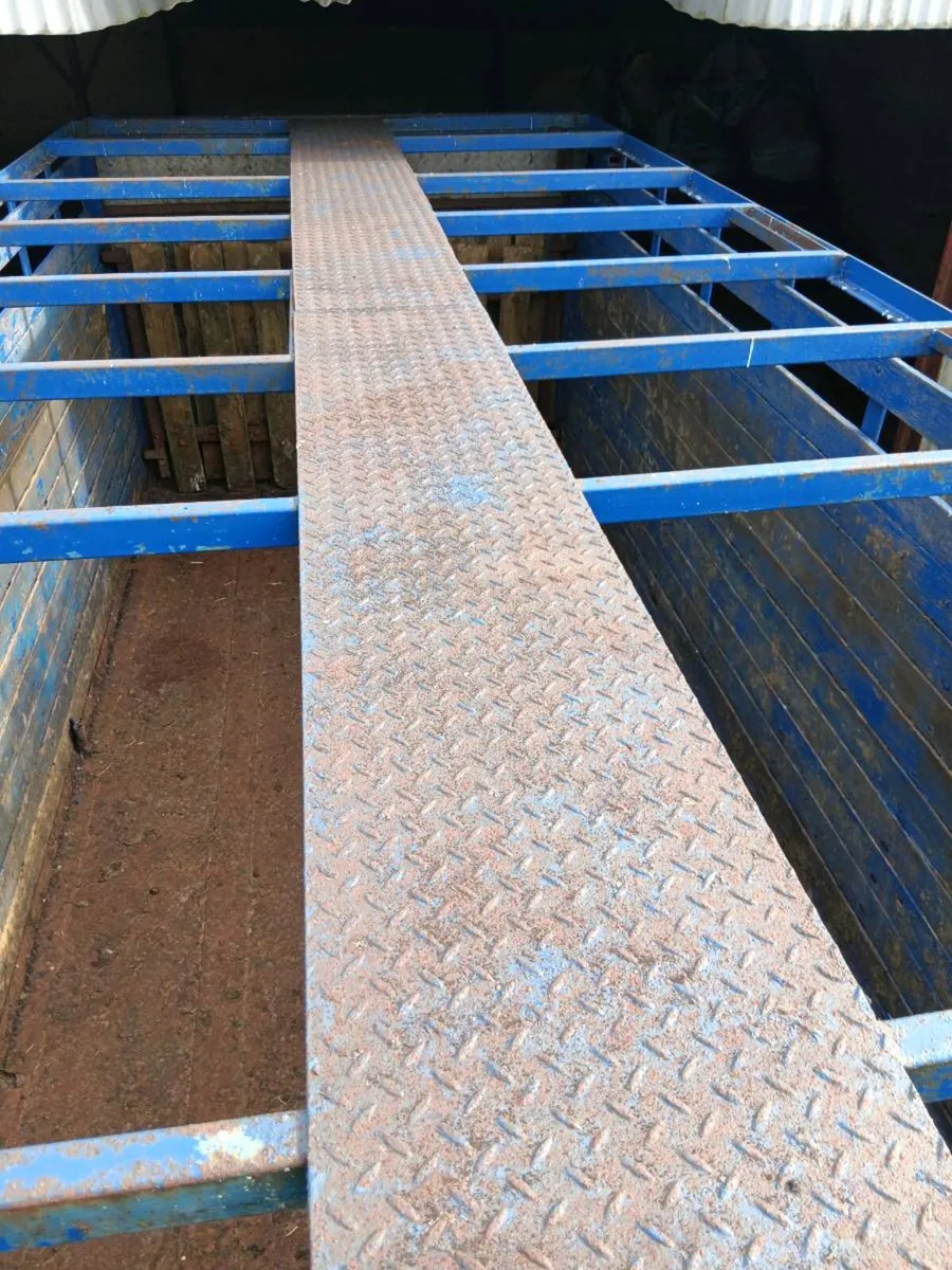 20 x 8 cattle trailer - Image 3
