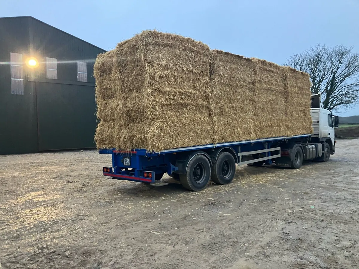 Wheaten and oaten Straw - Image 1