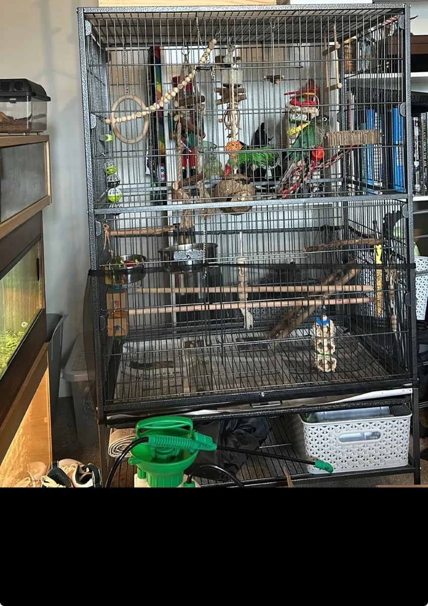 Bird cage - Image 1