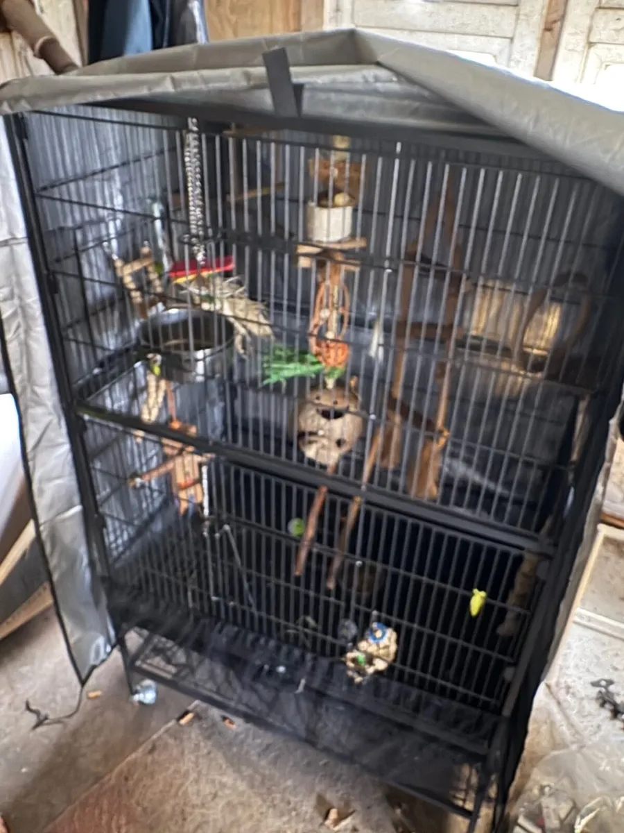 Bird cage - Image 2