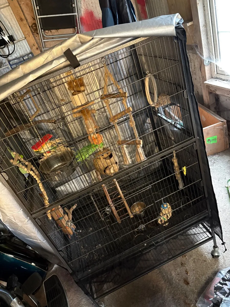 Bird cage - Image 4