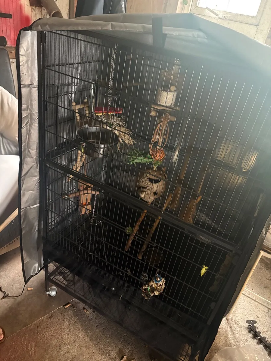Bird cage - Image 3