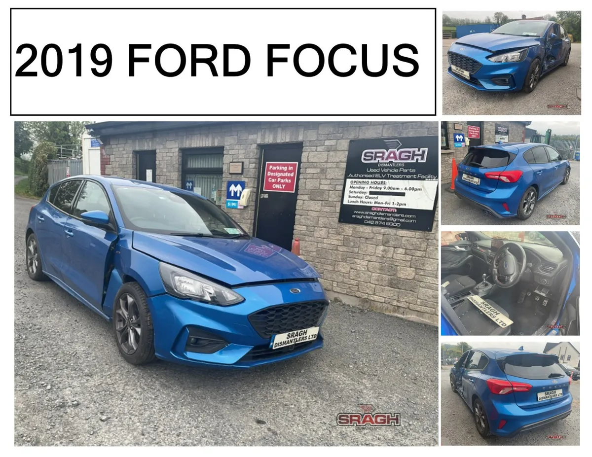 FORD FOCUS Collection - Image 1