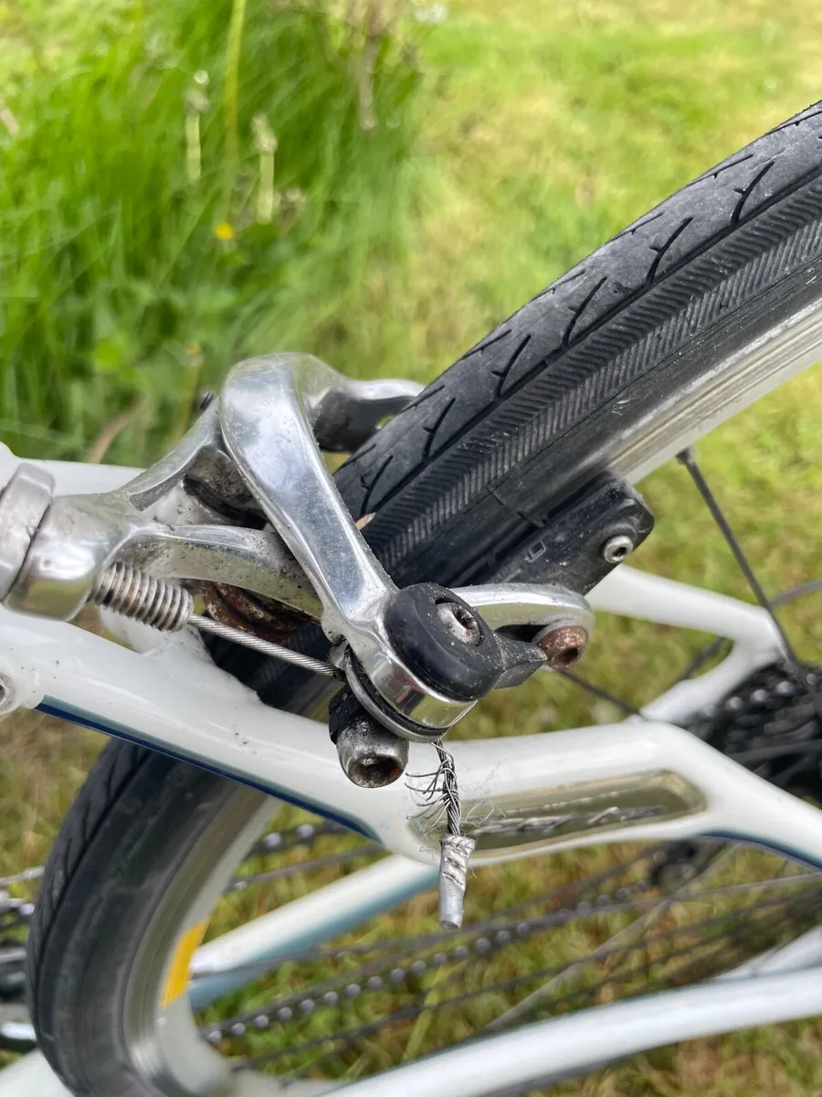 Bicycle Specialised Brand - Image 2