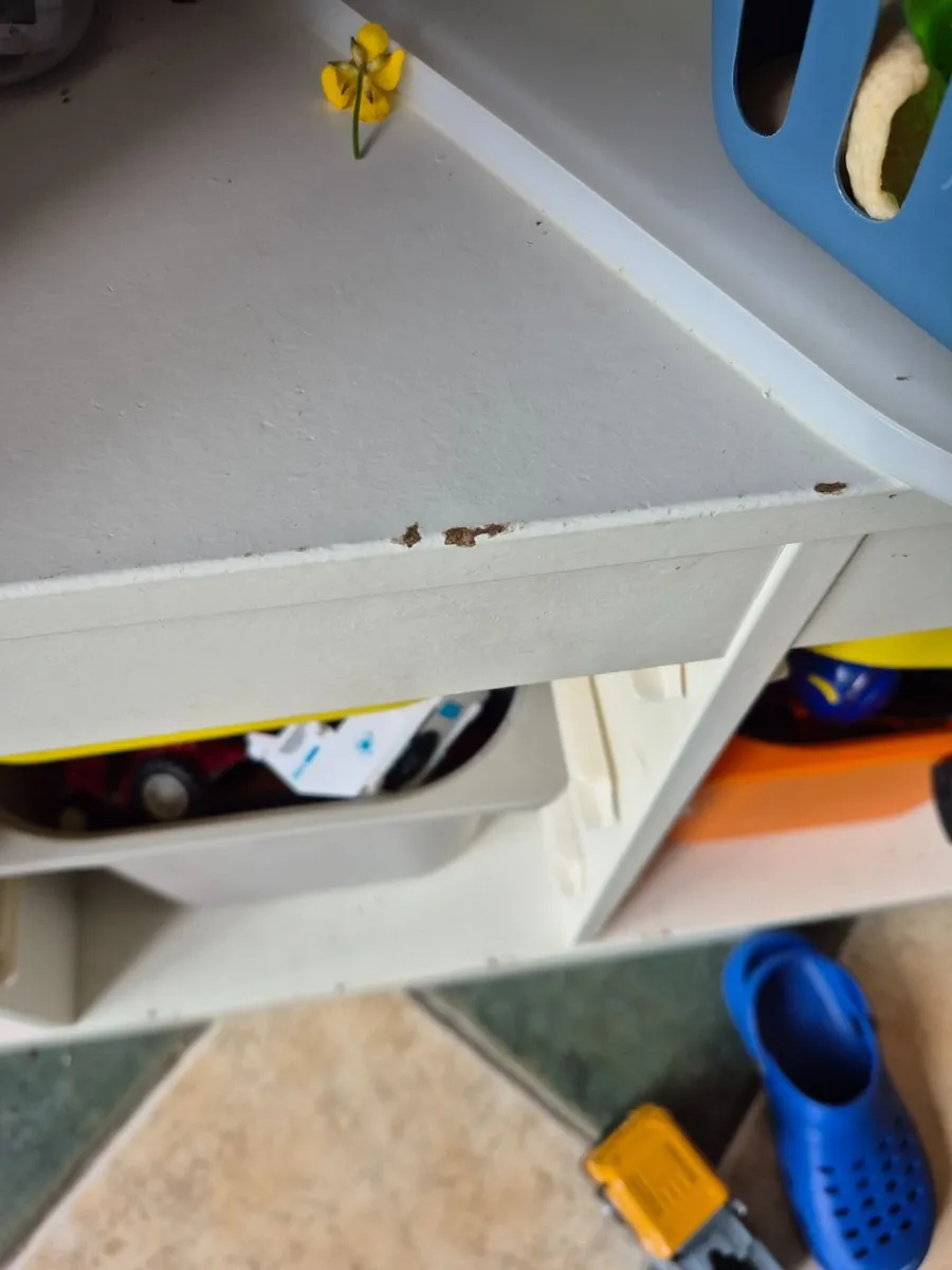 Ikea Trofast - Image 1