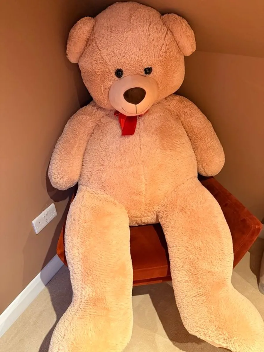Teddy Bear