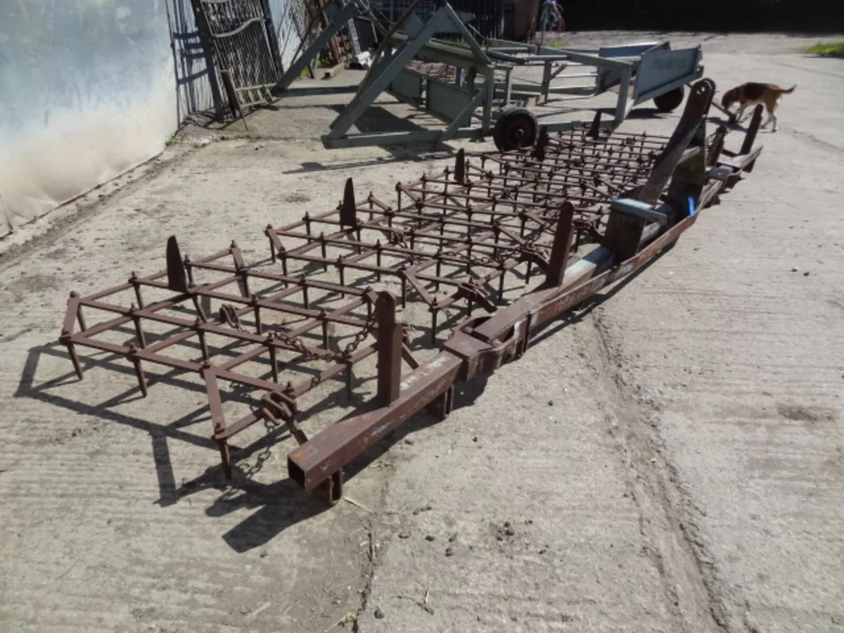 Parmiter Mounted Pin Harrow - Image 4