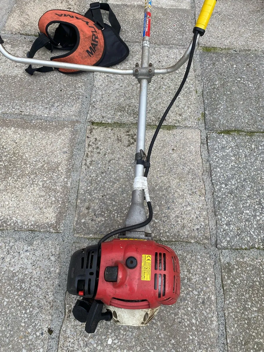 Strimmers - Image 1