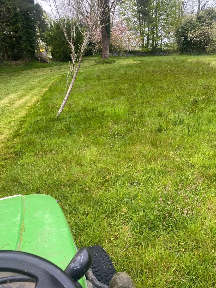 Lawn cutting, Hedge Trimming and Power Washing - Image 2