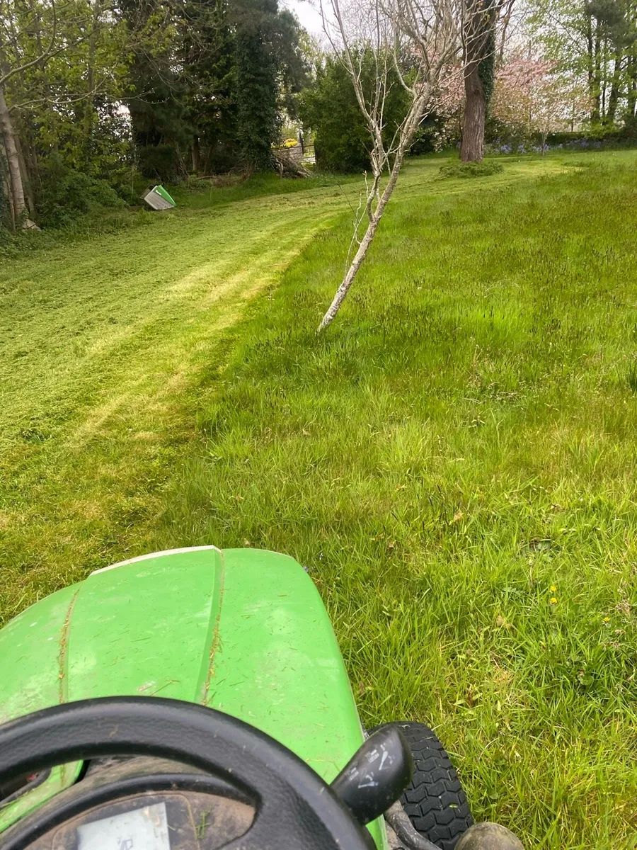 Lawn cutting, Hedge Trimming and Power Washing - Image 3